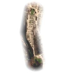 HOLE 4