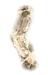 HOLE 6